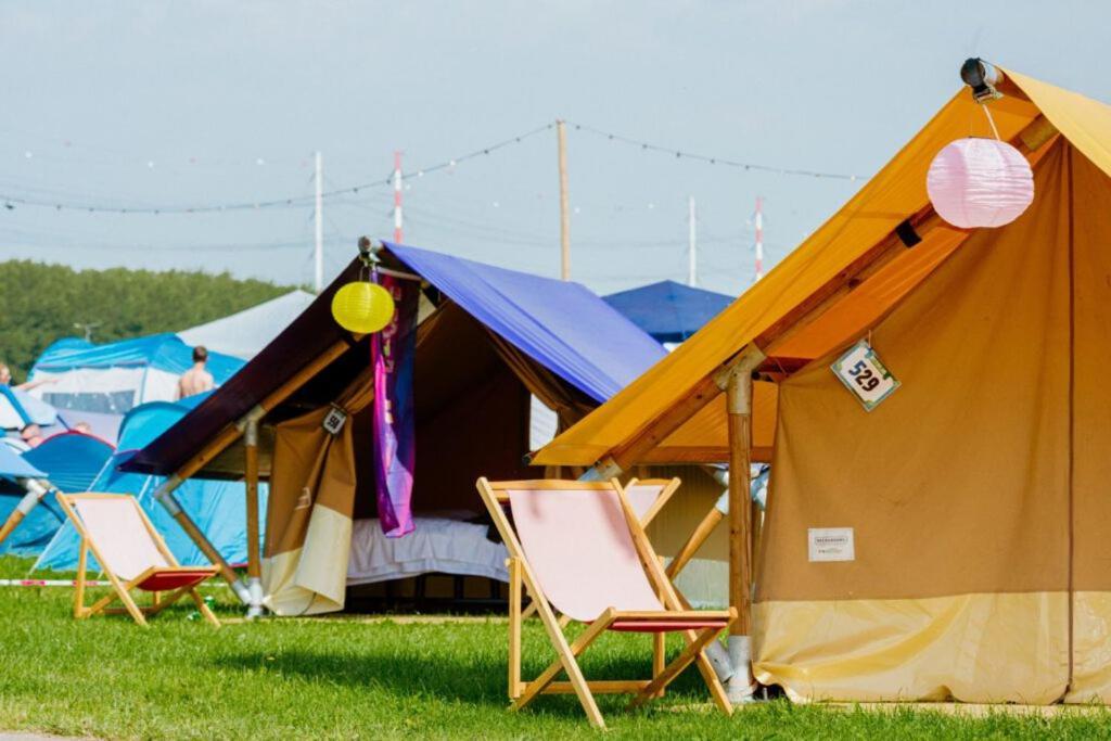 100 Jaar Tt Circuit Assen 2025 Glamping Incl Stroom Dış mekan fotoğraf